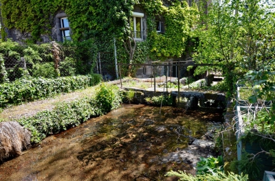 L'arrière du Moulin